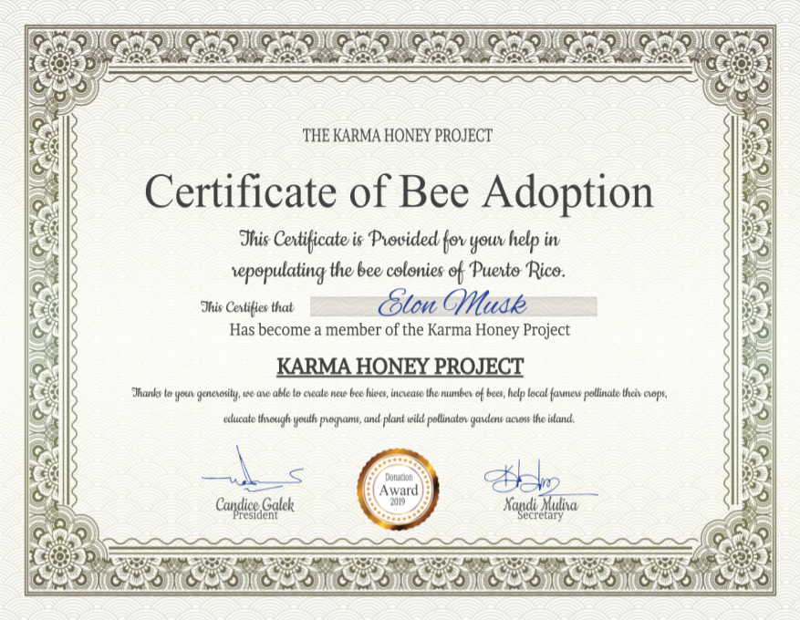 Adopt A Bee – Karma Honey Project