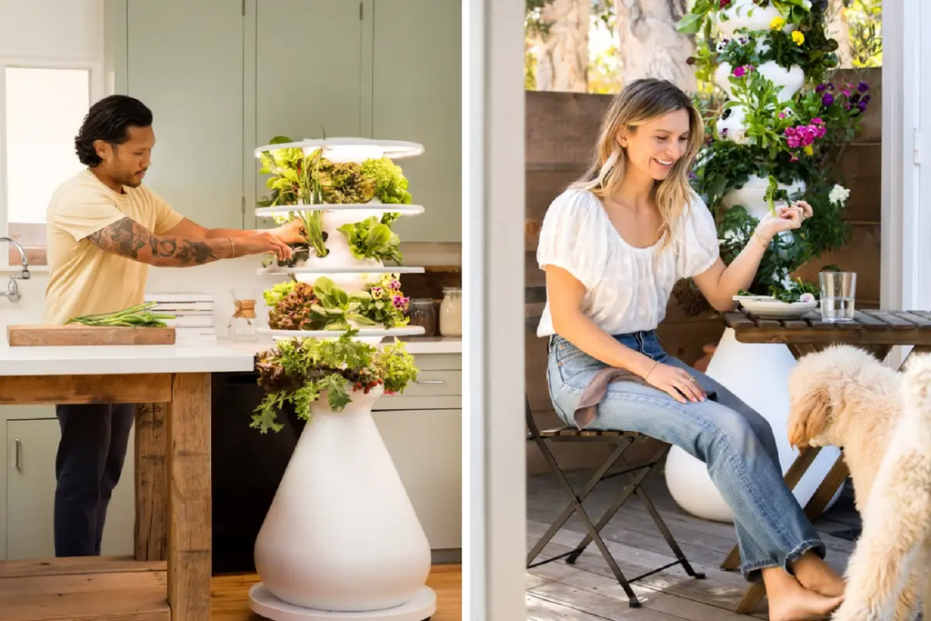 Grow Fresh Produce at Home Indoors or Outdoors