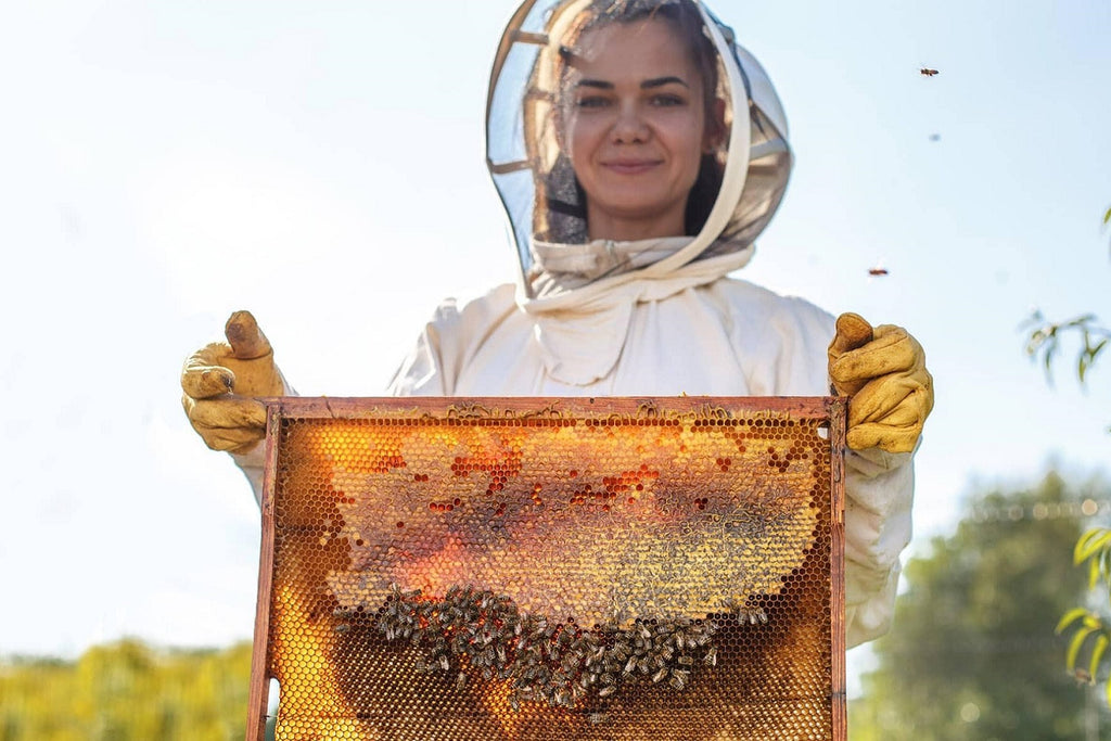 Beekeeping for Beginners Online Class