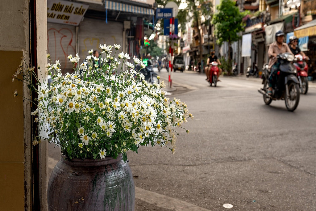 What Is Guerrilla Gardening?